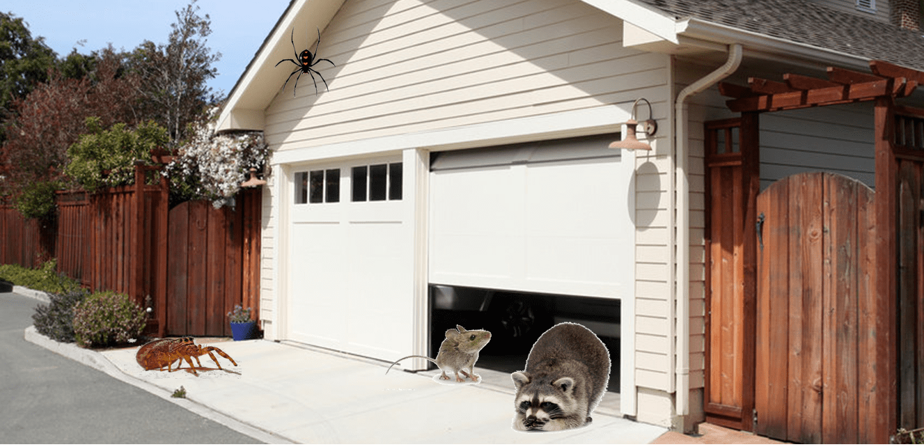 How to Keep Pests Out of the Garage - Wayne Dalton of Windsor