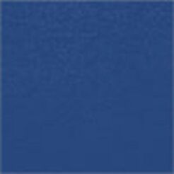 Rubber Doors Blue High-Speed Rubber Doors - Wayne Dalton of Windsor, Garage Doors
