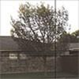 Model 464 Mirrored Gray Frameless Glass Garage Doors , Wayne-Dalton of Windsor