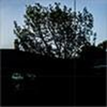 Model 464 Translucent Black Frameless Glass Garage Doors , Wayne-Dalton of Windsor