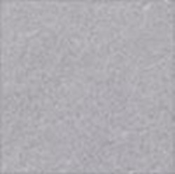Silver Powder Coat (Standard) High Speed Metal Doors - Wayne Dalton of Windsor Garage Doors